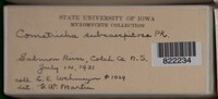 Image Associated With the Occurence